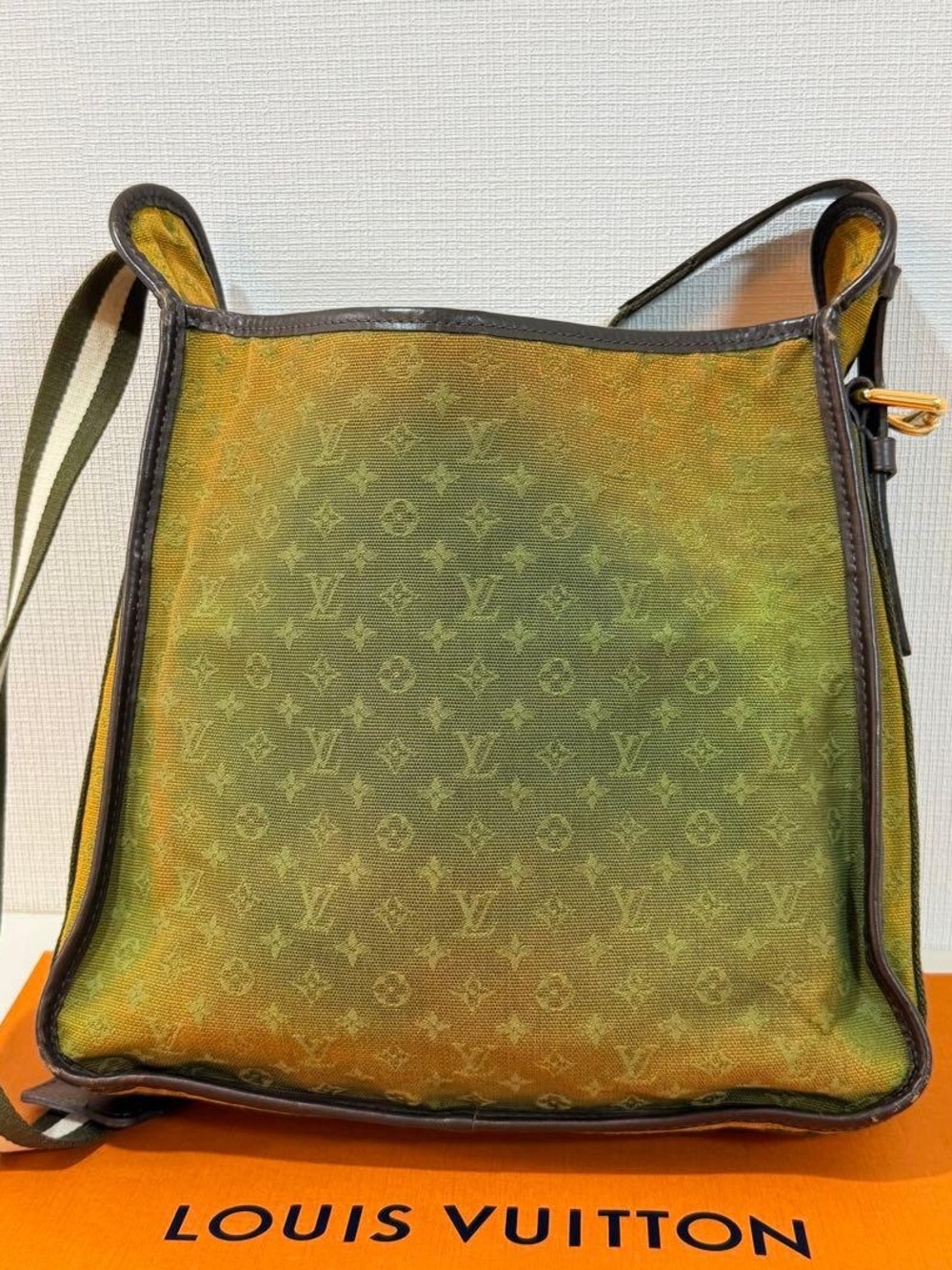 Louis Vuitton Green Ombre Shoulder Bag with Front Pocket and Brown Trim - Picture 5 of 12